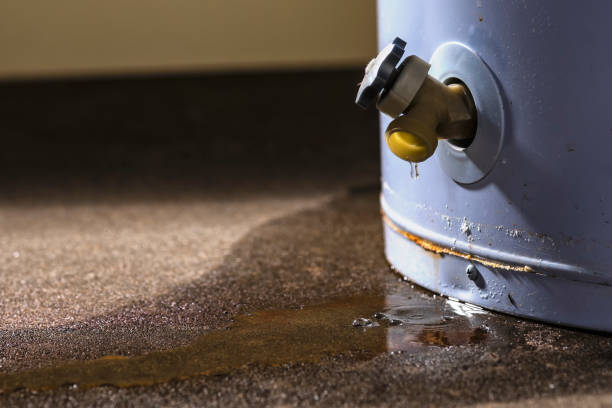 Trusted SC Water damage restoration Experts
