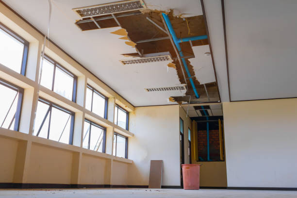 Best Water damage restoration services  in Greenwood, SC