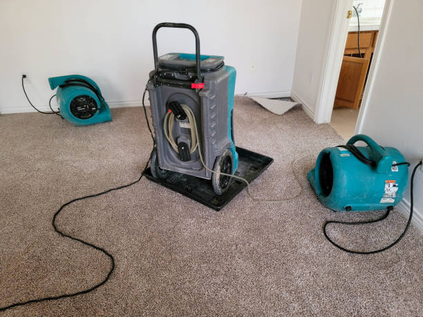 Best Water damage restoration mold remediation  in Greenwood, SC