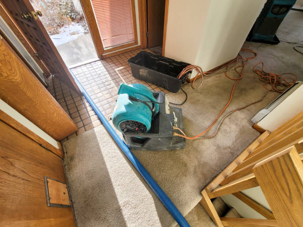 Best Water damage mitigation services  in Greenwood, SC