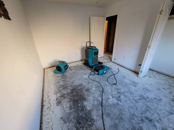 Best Water damage restoration specialists  in Greenwood, SC