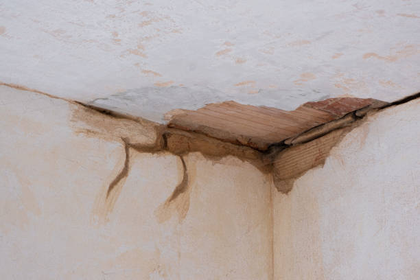 Best Residential water damage restoration  in Greenwood, SC
