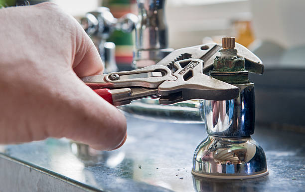 Best Flooded house restoration  in Greenwood, SC