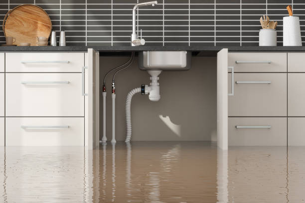 Best Commercial water damage restoration  in Greenwood, SC