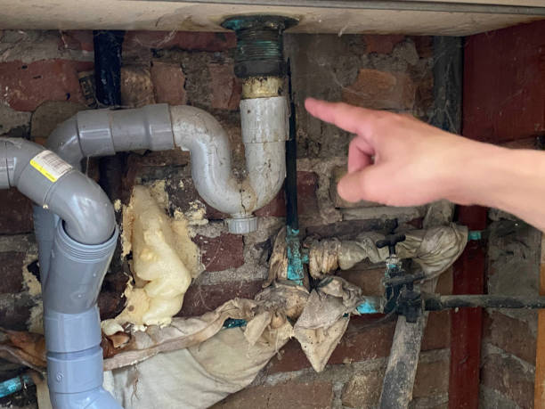 Best Basement water damage restoration  in Greenwood, SC