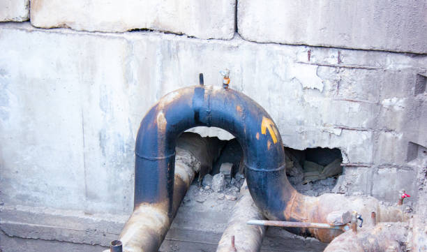 Best Flood restoration services  in Greenwood, SC