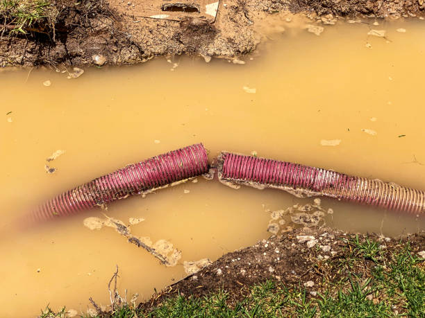 Best Water damage restoration near me  in Greenwood, SC