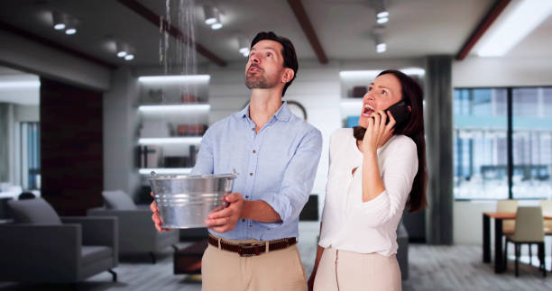 Best Flooded house restoration  in Greenwood, SC