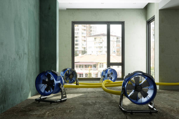 Best Water damage restoration near me  in Greenwood, SC